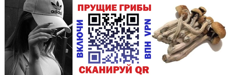 Псилоцибиновые грибы MAGIC MUSHROOMS наркота мега зеркало Ершов
